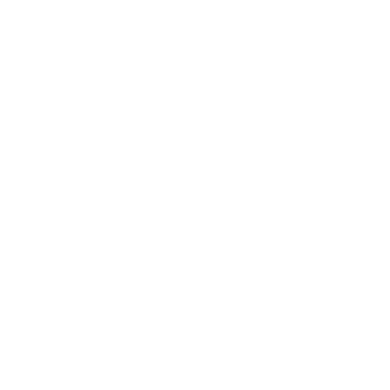 Local Library